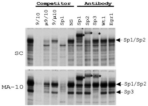 FIG. 9