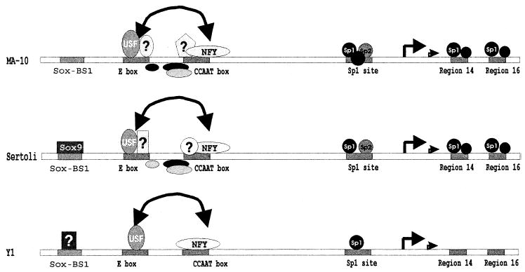 FIG. 11