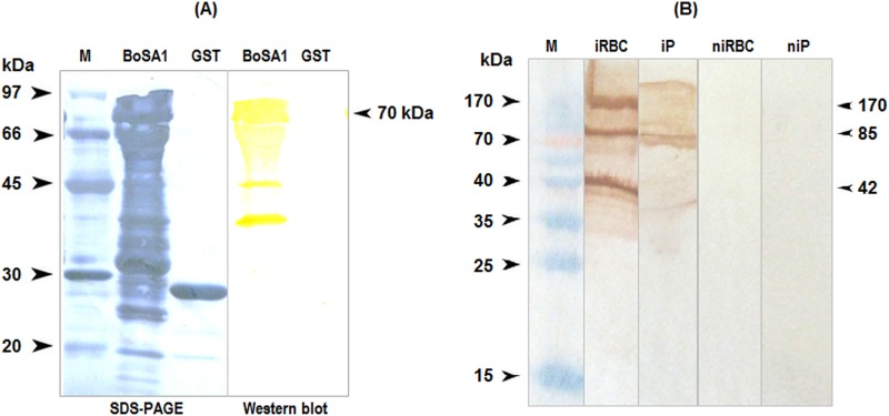 FIG 3