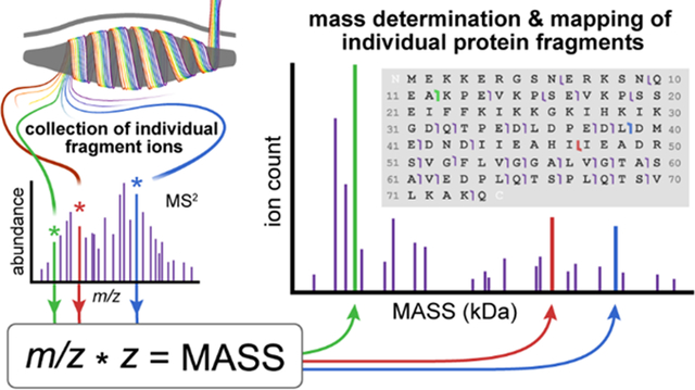 graphic file with name nihms-1559191-f0001.jpg