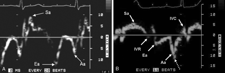 Figure 1)