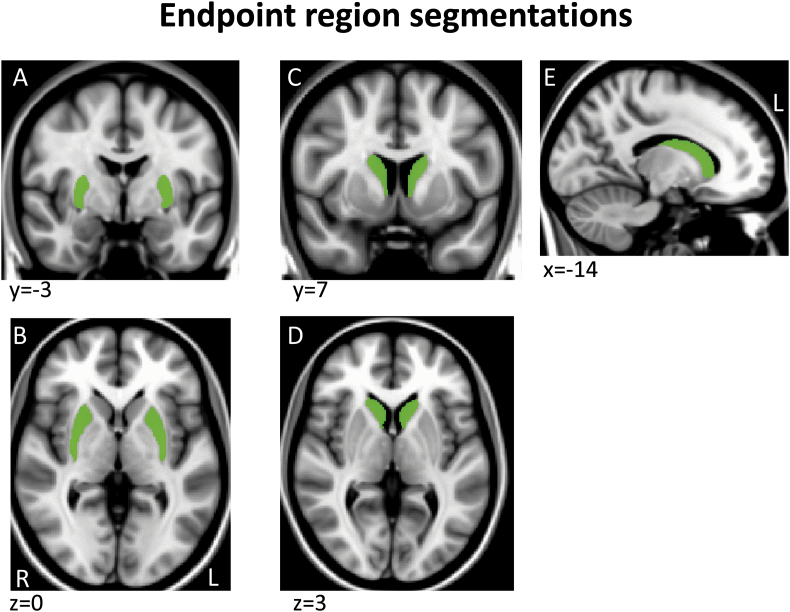 Supplementary Fig. 3