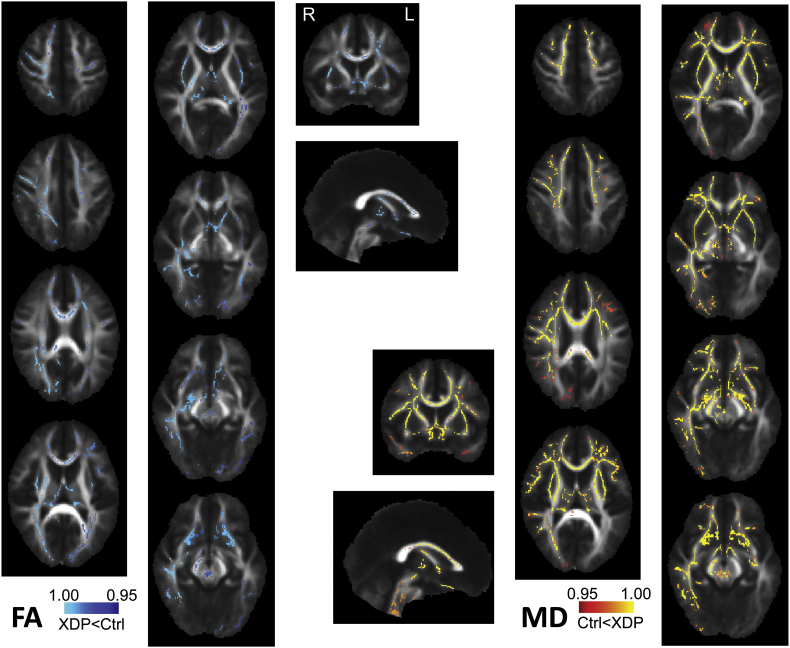 Supplementary Fig. 7