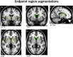 Supplementary Fig. 3
