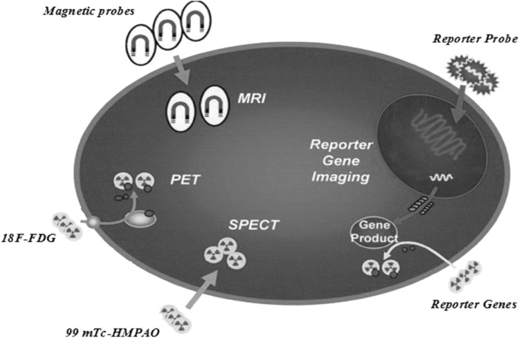 Fig. 1