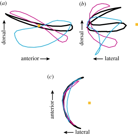 Figure 3.