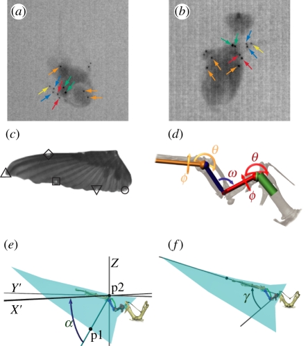 Figure 1.