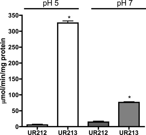 Fig 10