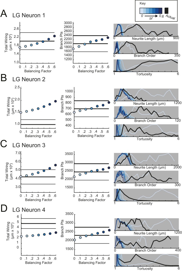 Figure 11—figure supplement 2.