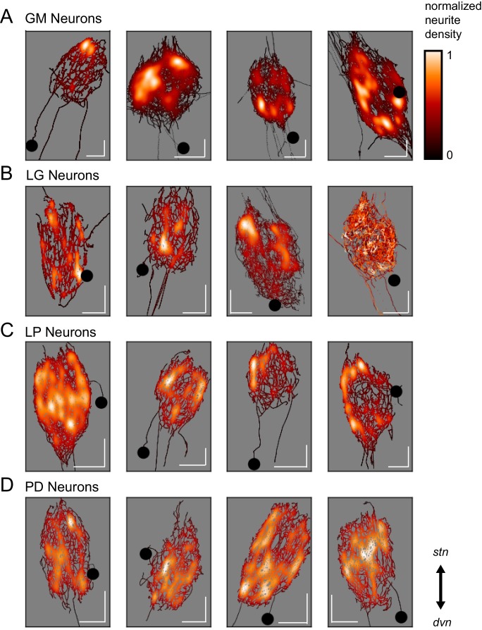 Figure 3.