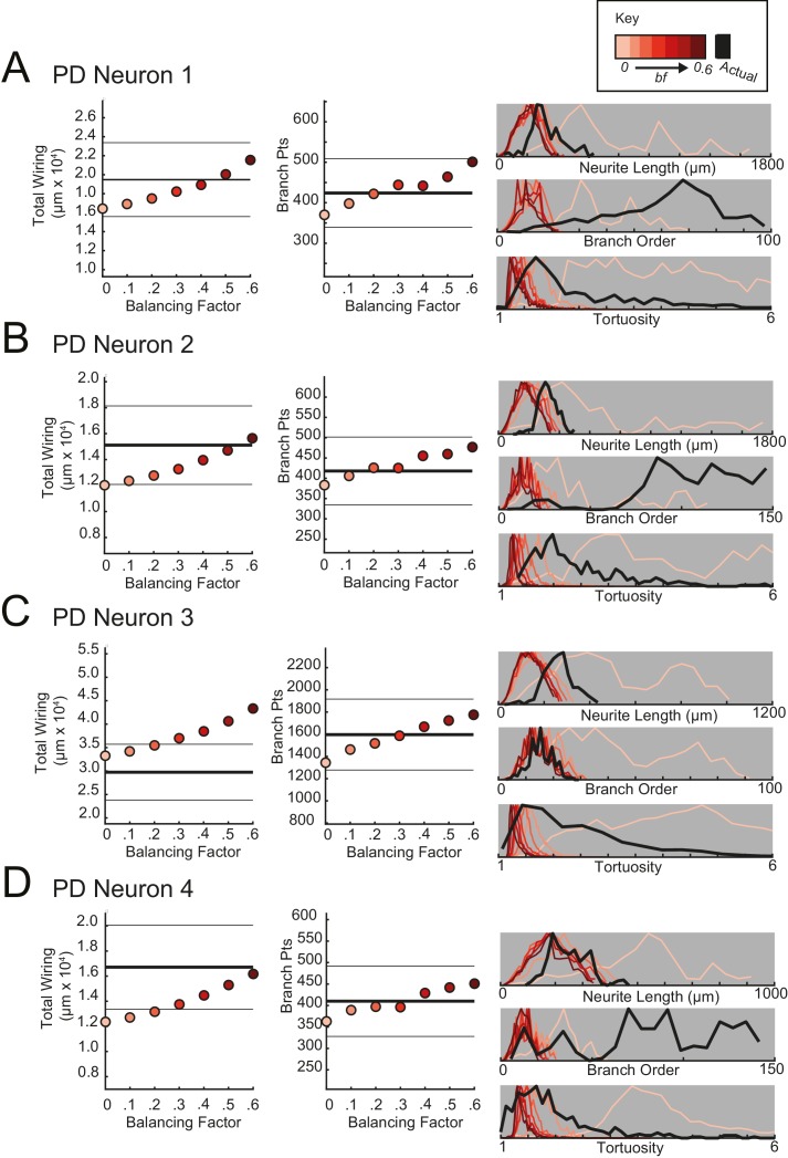 Figure 11—figure supplement 4.