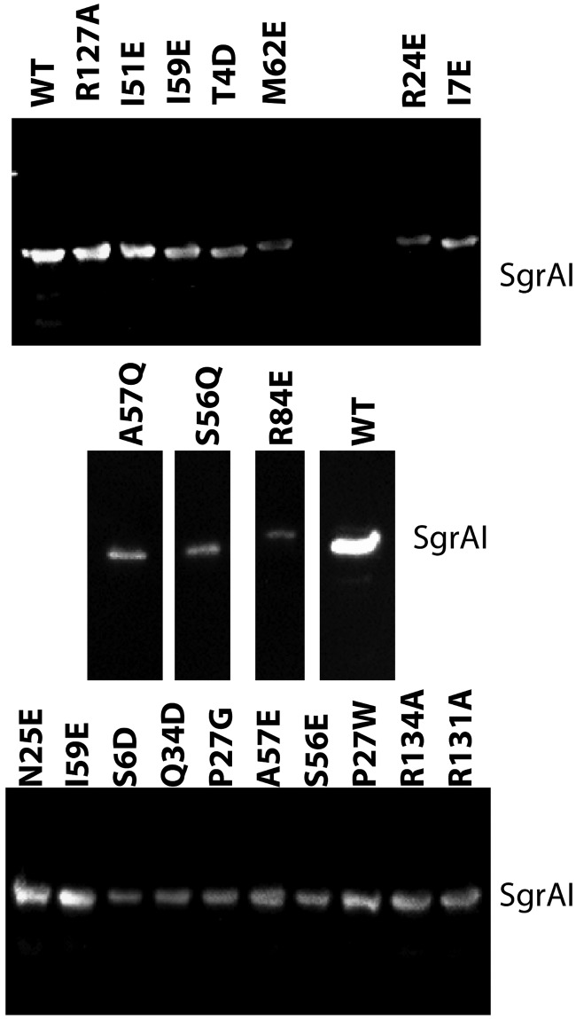 FIG 3