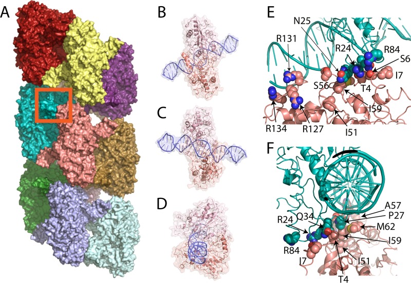 FIG 1