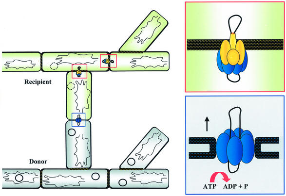 FIG. 10.