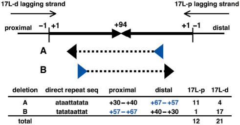 Figure 5.