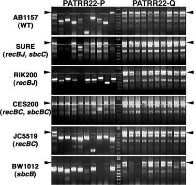 Figure 6.