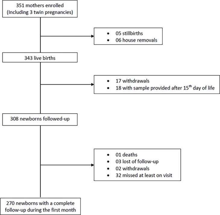 Fig 2