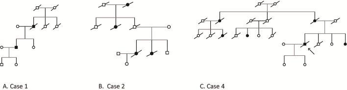 Fig 1