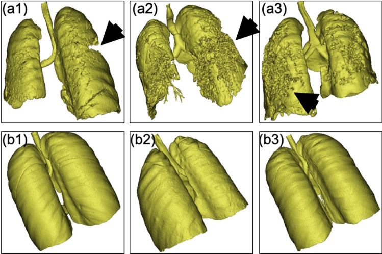 Fig. 9