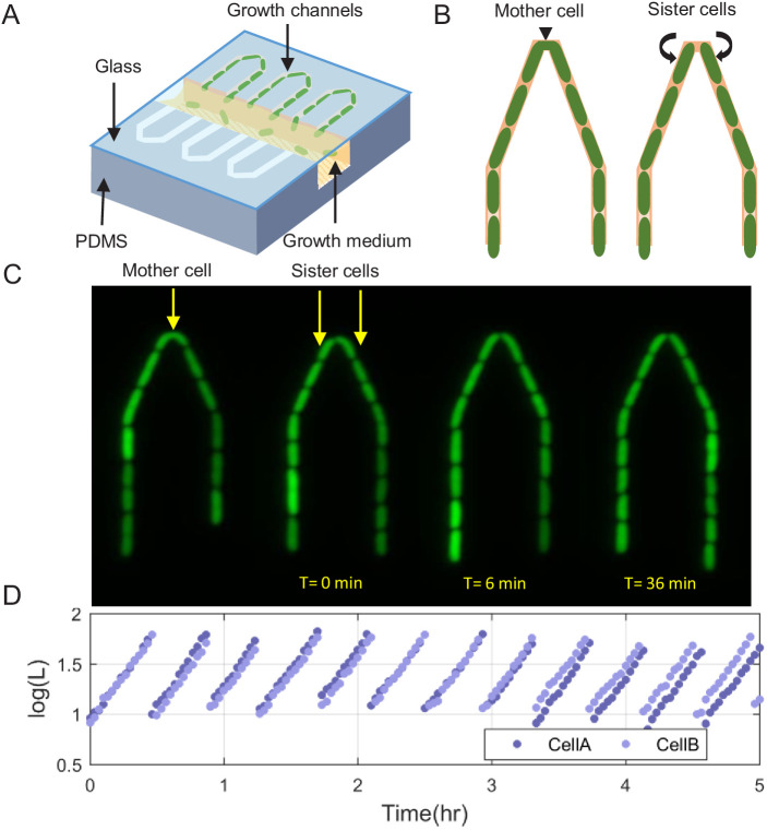 Figure 1.