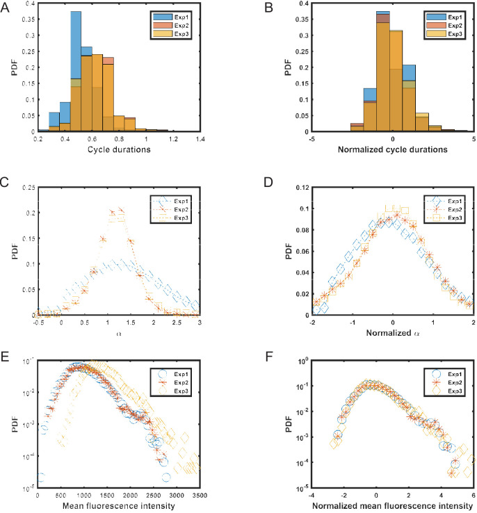 Figure 4—figure supplement 1.