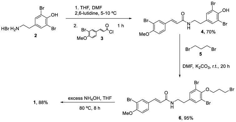 Scheme 1