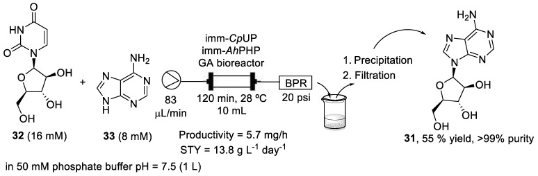 Scheme 6