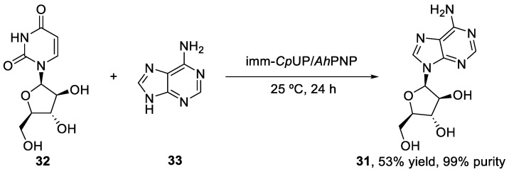 Scheme 7