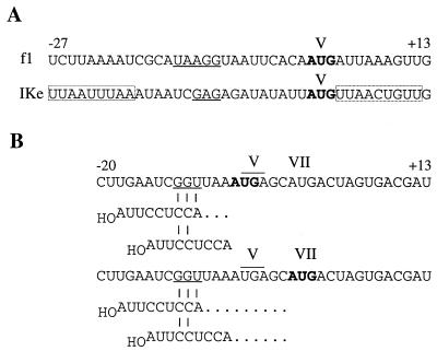 FIG. 8