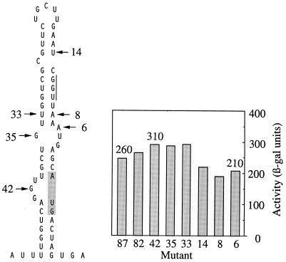 FIG. 6