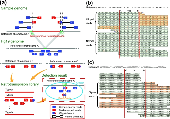 Figure 1: