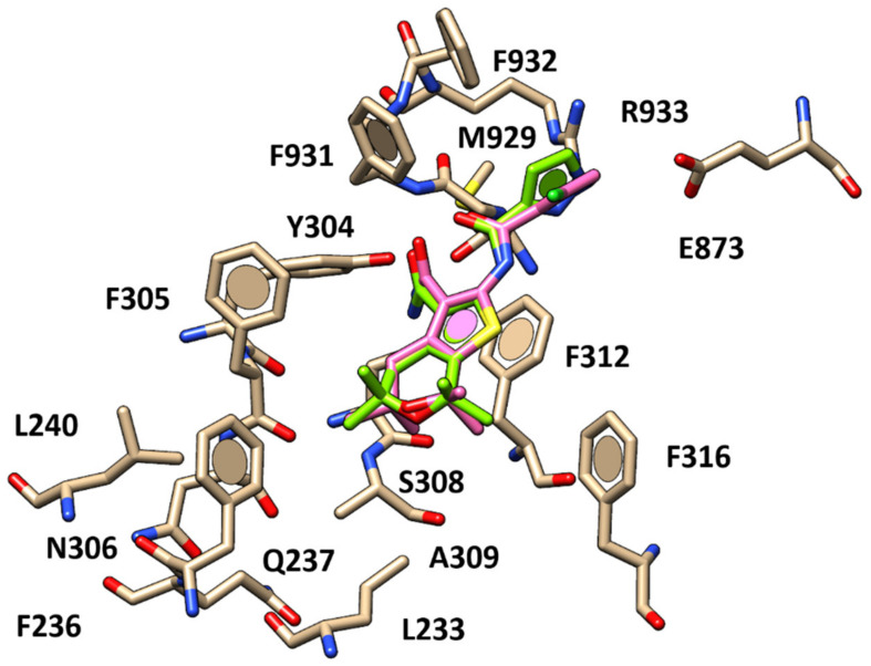 Figure 5