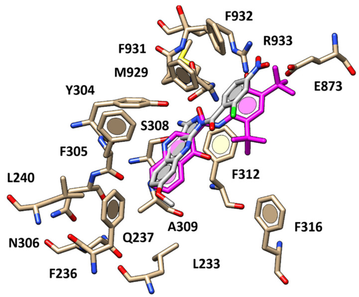 Figure 10