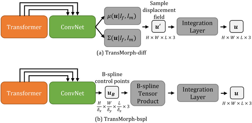 Fig. 6: