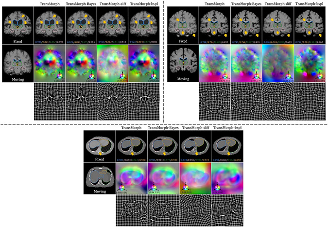 Fig. 8: