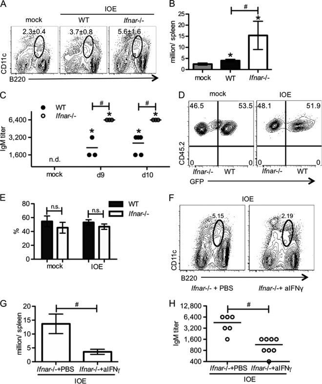 FIG 6