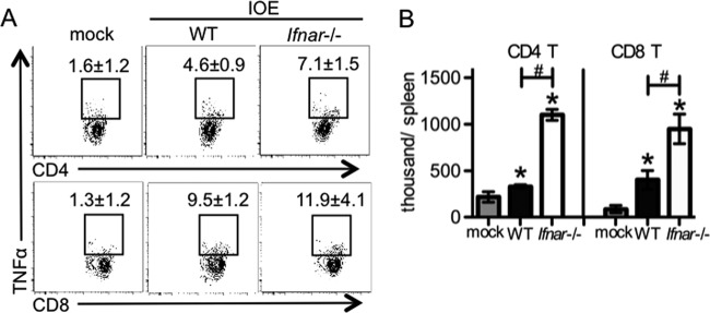 FIG 4