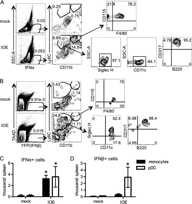 FIG 3