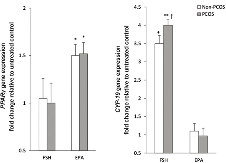 Fig.2