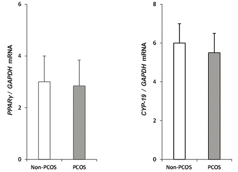 Fig.1