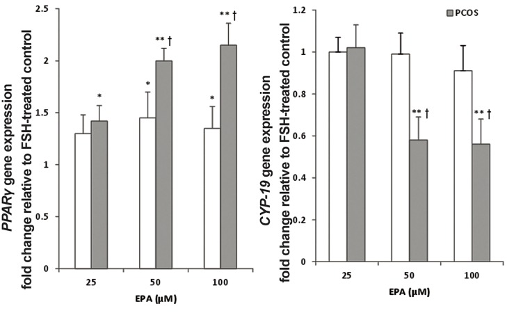 Fig.4