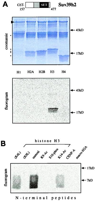 FIG. 7