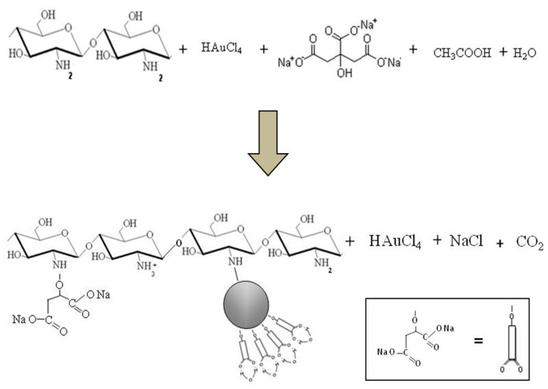 Scheme 1