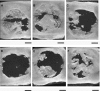 FIG. 5.