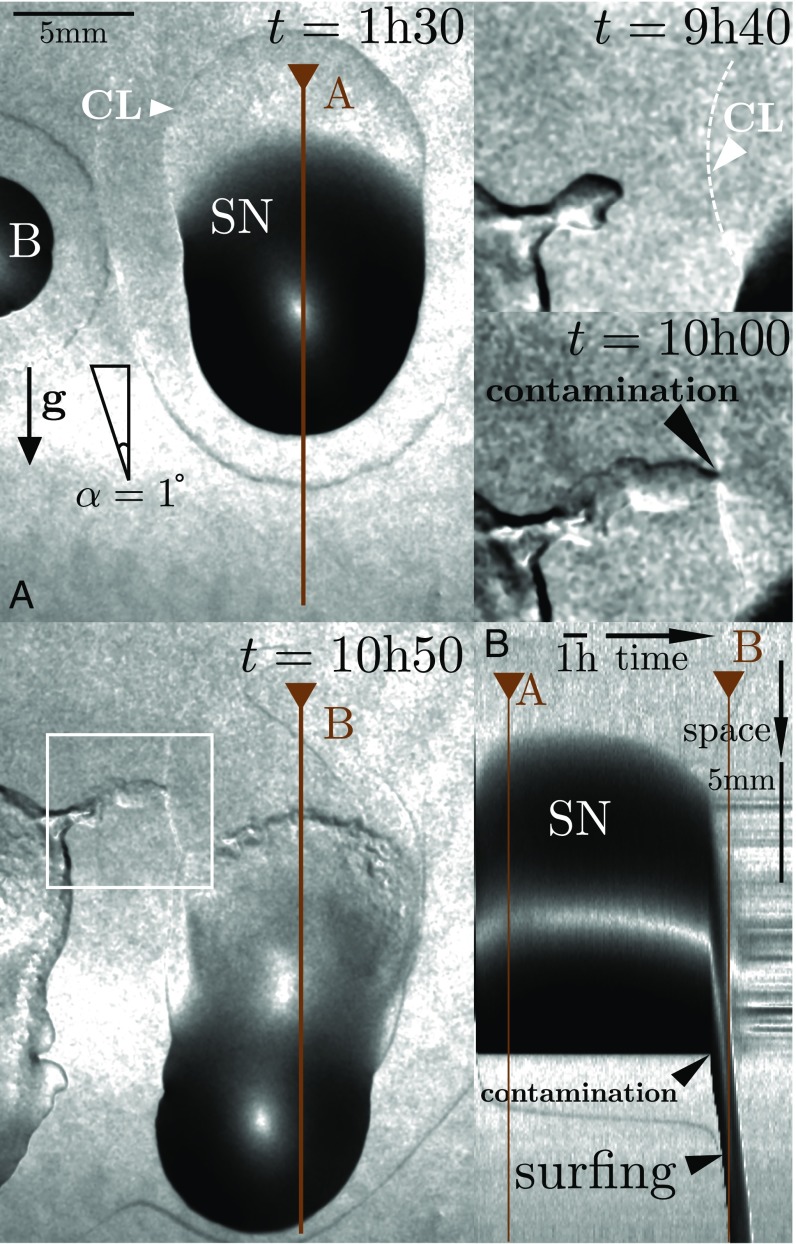 Fig. 3.