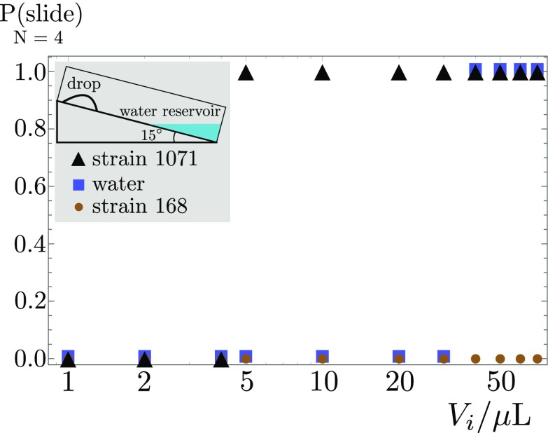 Fig. S8.