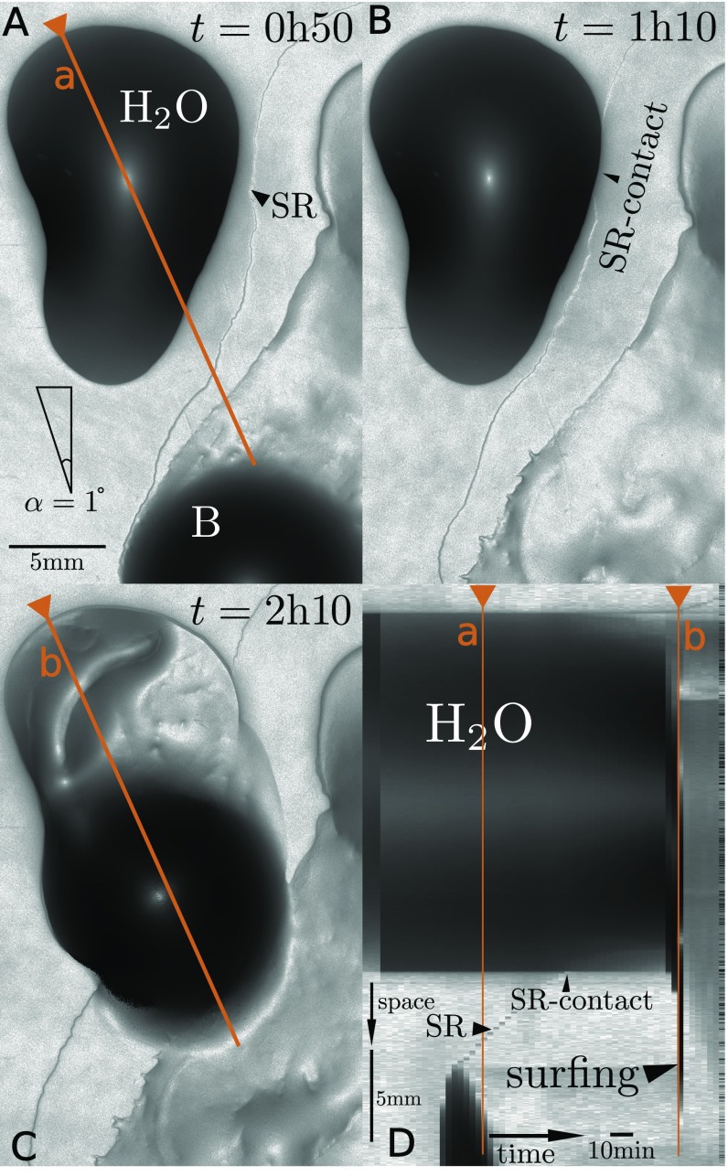 Fig. S6.