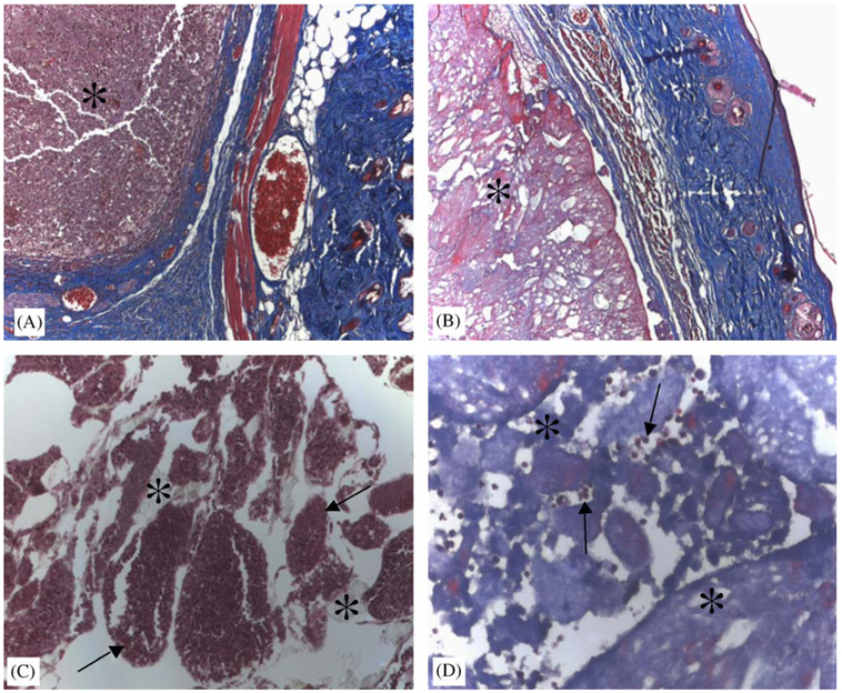 Fig. 8.