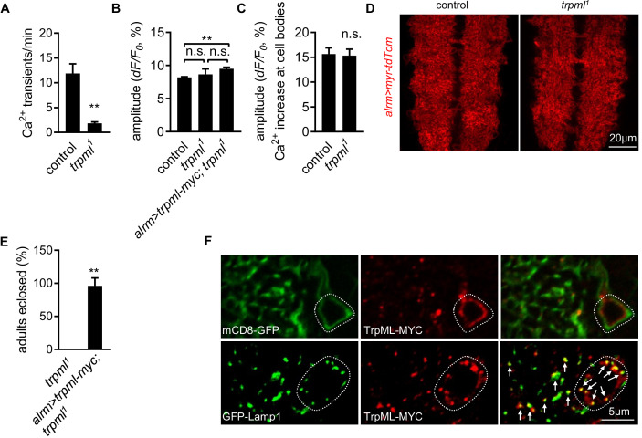 Figure 2—figure supplement 1.