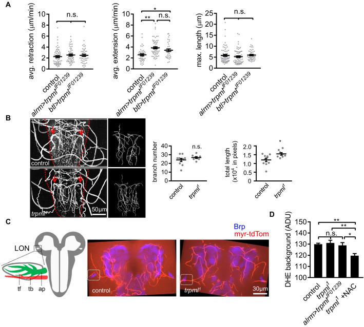 Figure 4—figure supplement 1.